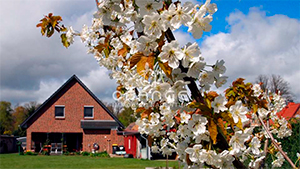 Einfamilienhaus in Parchim